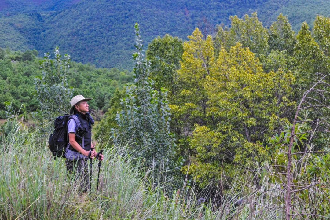 秘境探踪·荒野寻迹:国家步道上孤独的行者