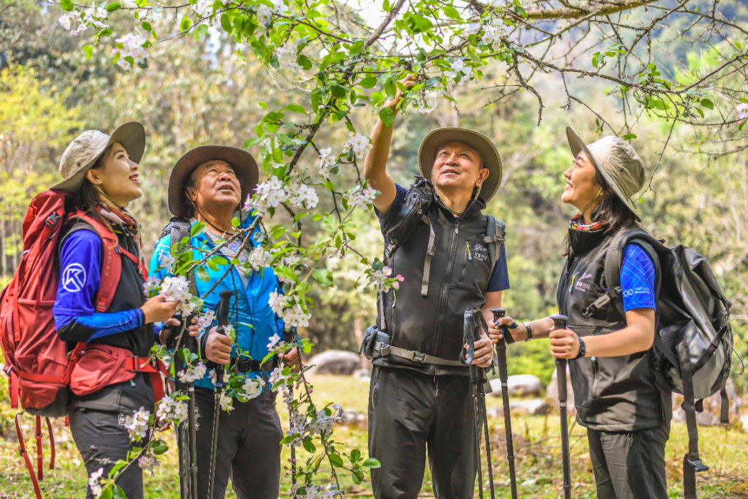 秘境探踪·荒野寻迹:国家步道上孤独的行者