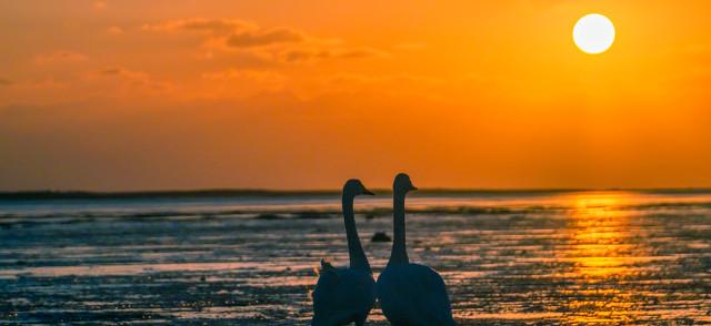 创业巨著《陪你一起走天涯》新书封稿