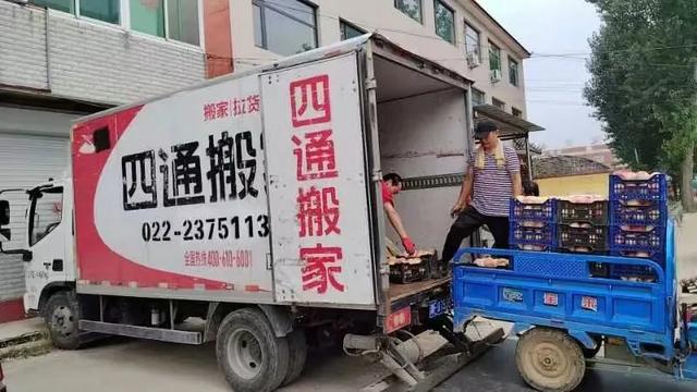 天津市市场营销协会会员企业带头购买滞销鲜桃，支持受灾桃农