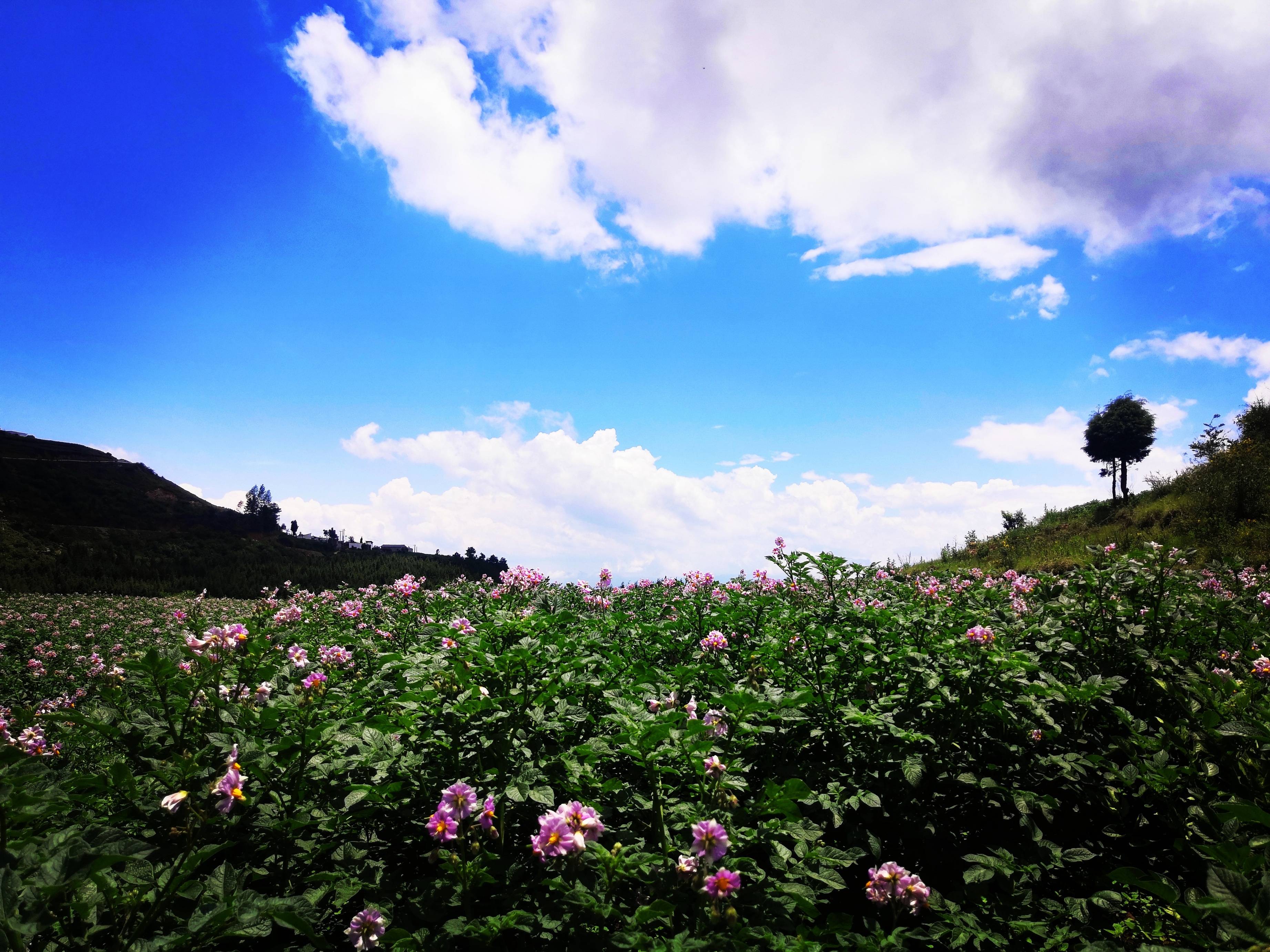 遗忘是为了记住