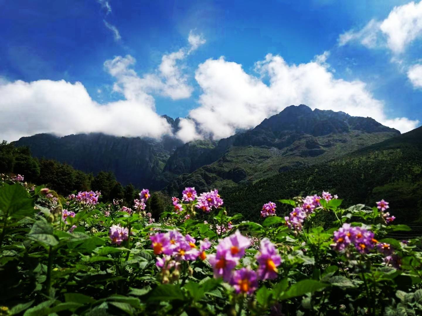 遗忘是为了记住