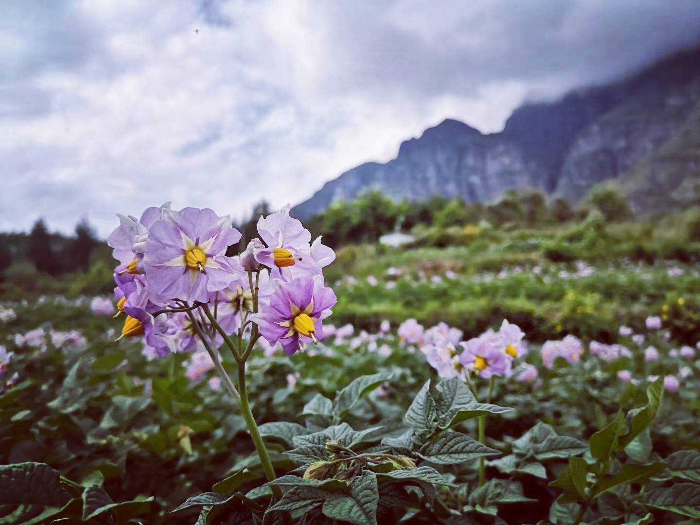 遗忘是为了记住