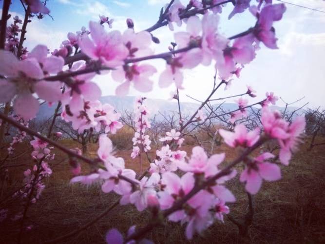 遗忘是为了记住