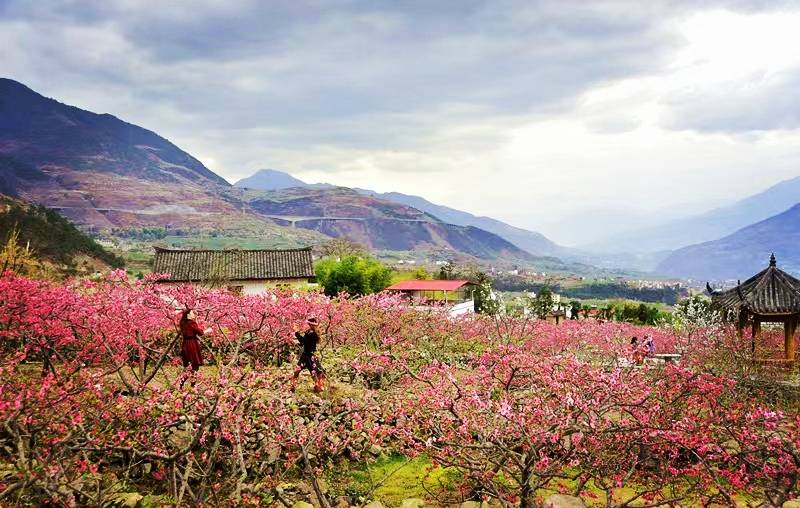 遗忘是为了记住