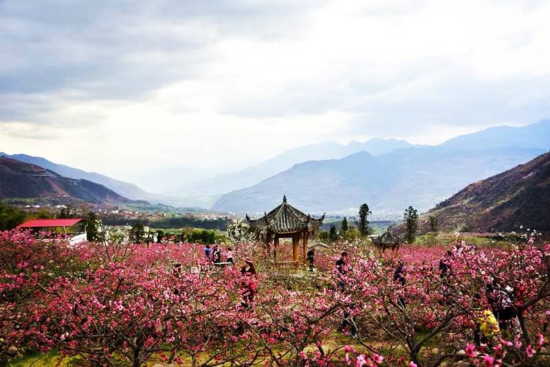 遗忘是为了记住