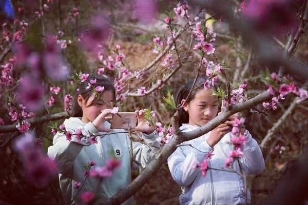 遗忘是为了记住