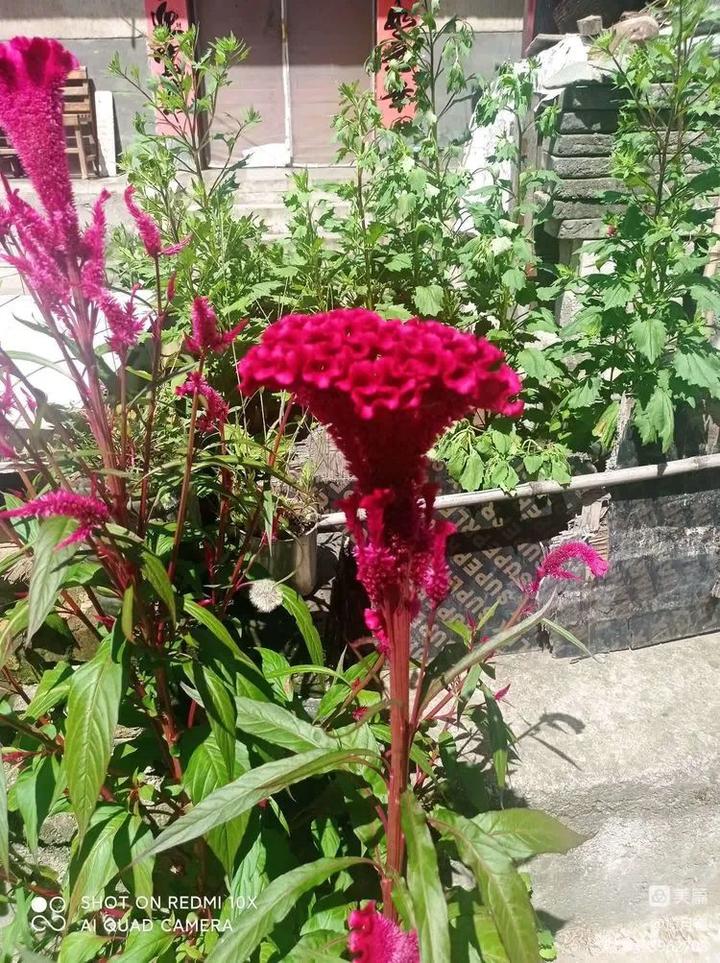 周丹军：黑山老街游记