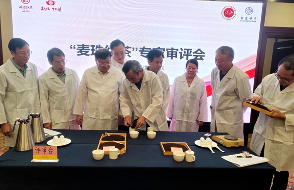 “麦珠红茶”通过专家评审 五彩湘茗再添新秀