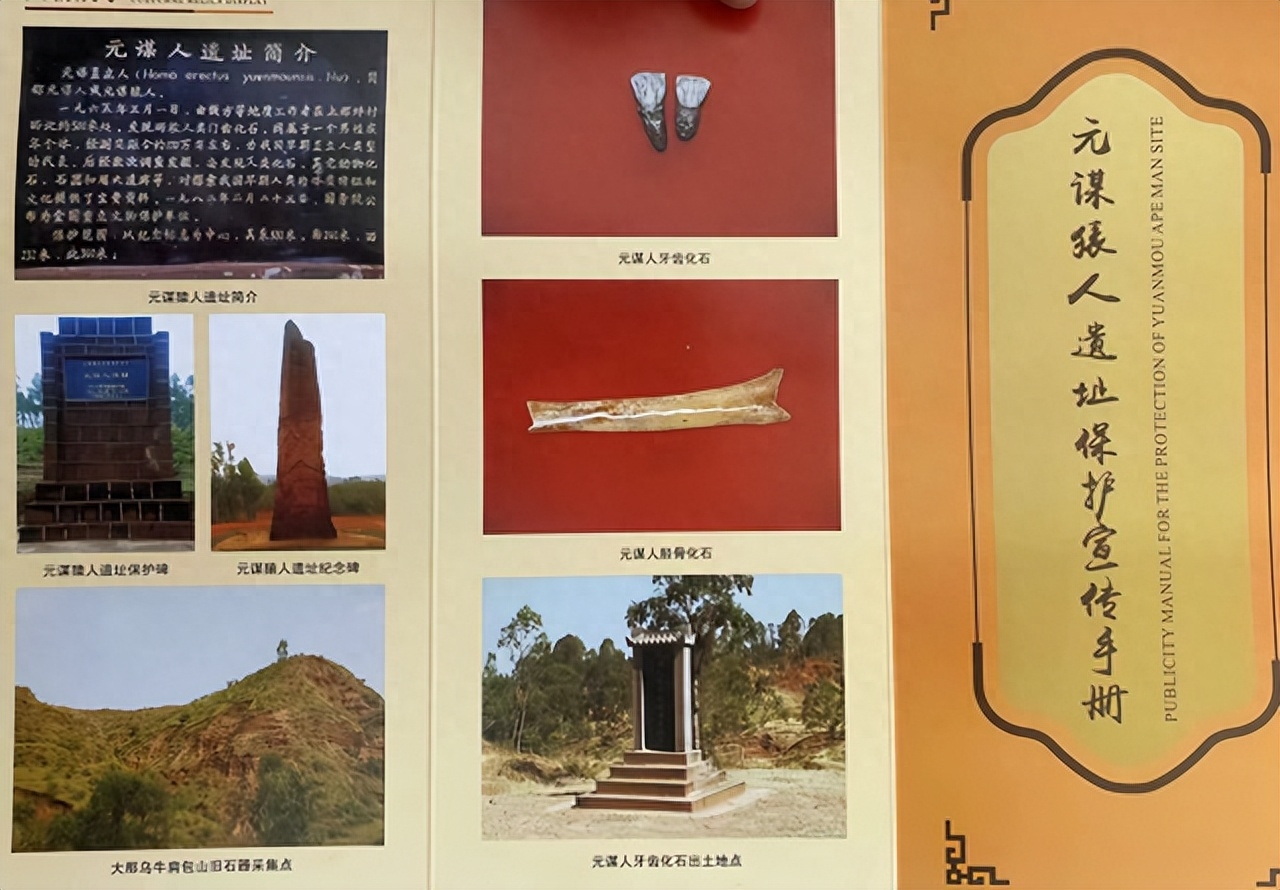 东方人类发祥地，绿色康养在元谋（1）┃东方人类故乡：开启人类历史，探究人类起源