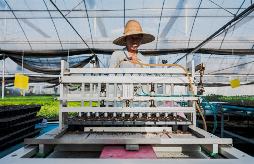 东方人类发祥地，绿色康养在元谋（2）┃南繁育种天堂：中国芯片基地 提升种子品质