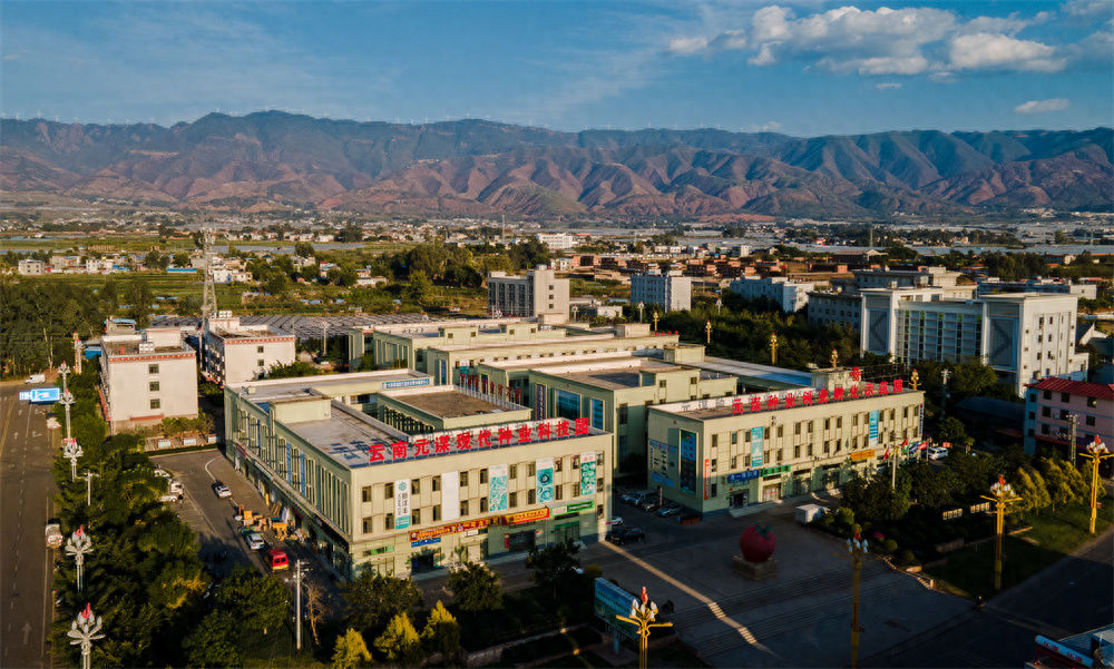 东方人类发祥地，绿色康养在元谋（2）┃南繁育种天堂：中国芯片基地 提升种子品质