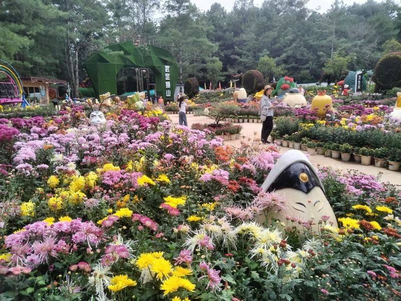 一幅楚雄深秋画卷正徐徐展开