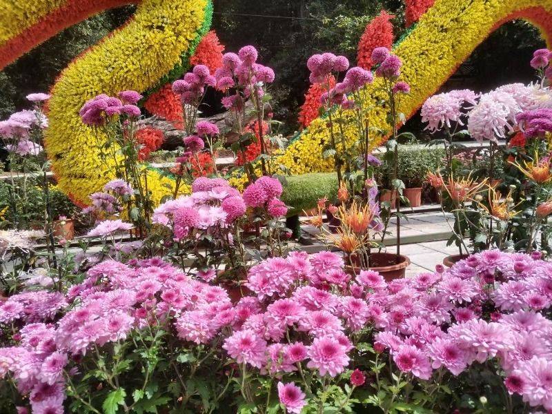 一幅楚雄深秋画卷正徐徐展开