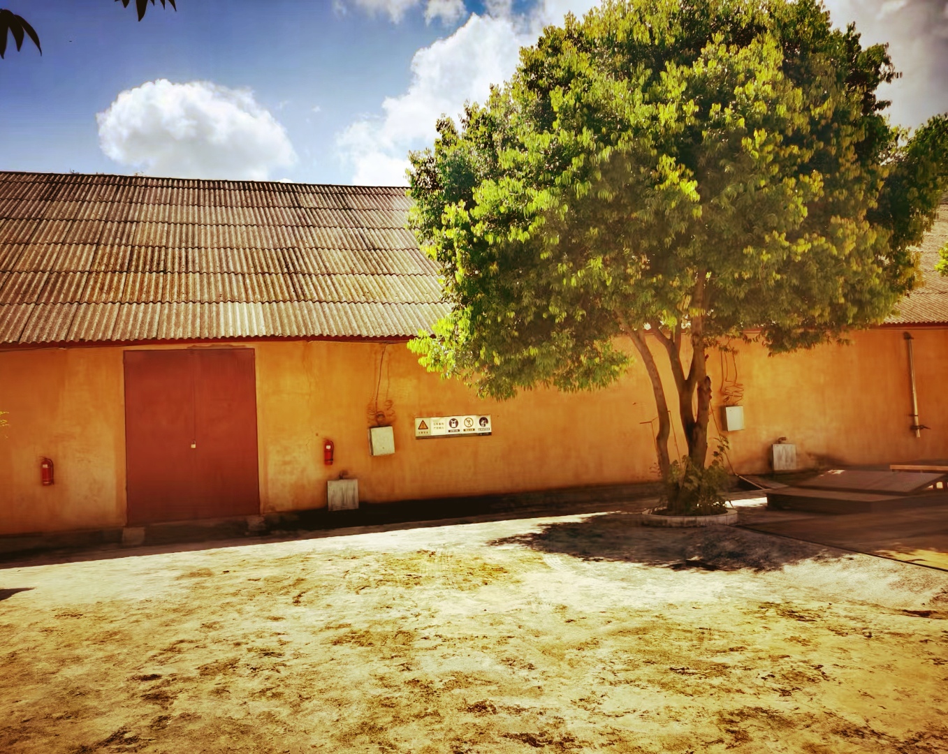 杨光辉：让梦想熠熠生辉