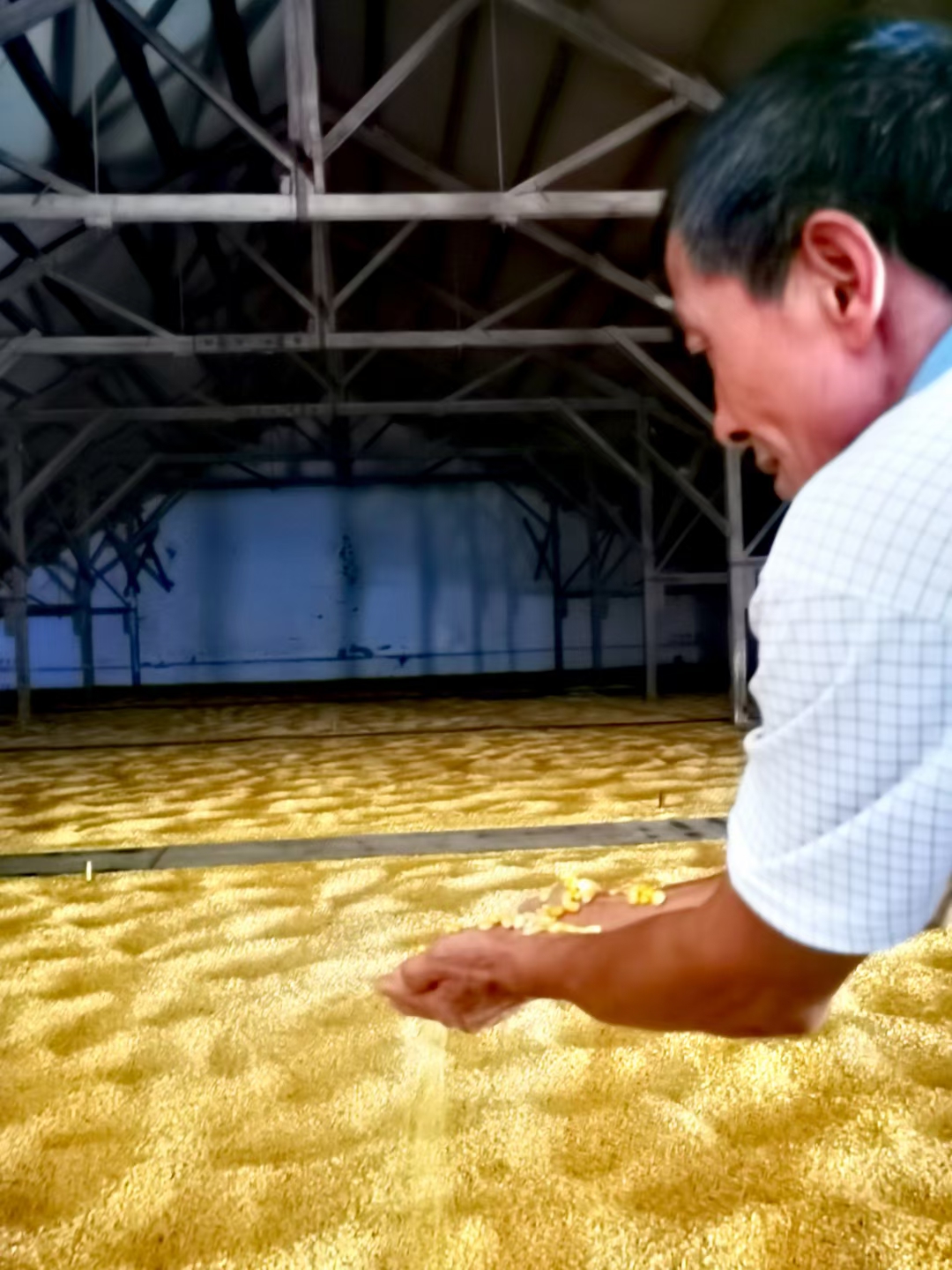 杨光辉：让梦想熠熠生辉