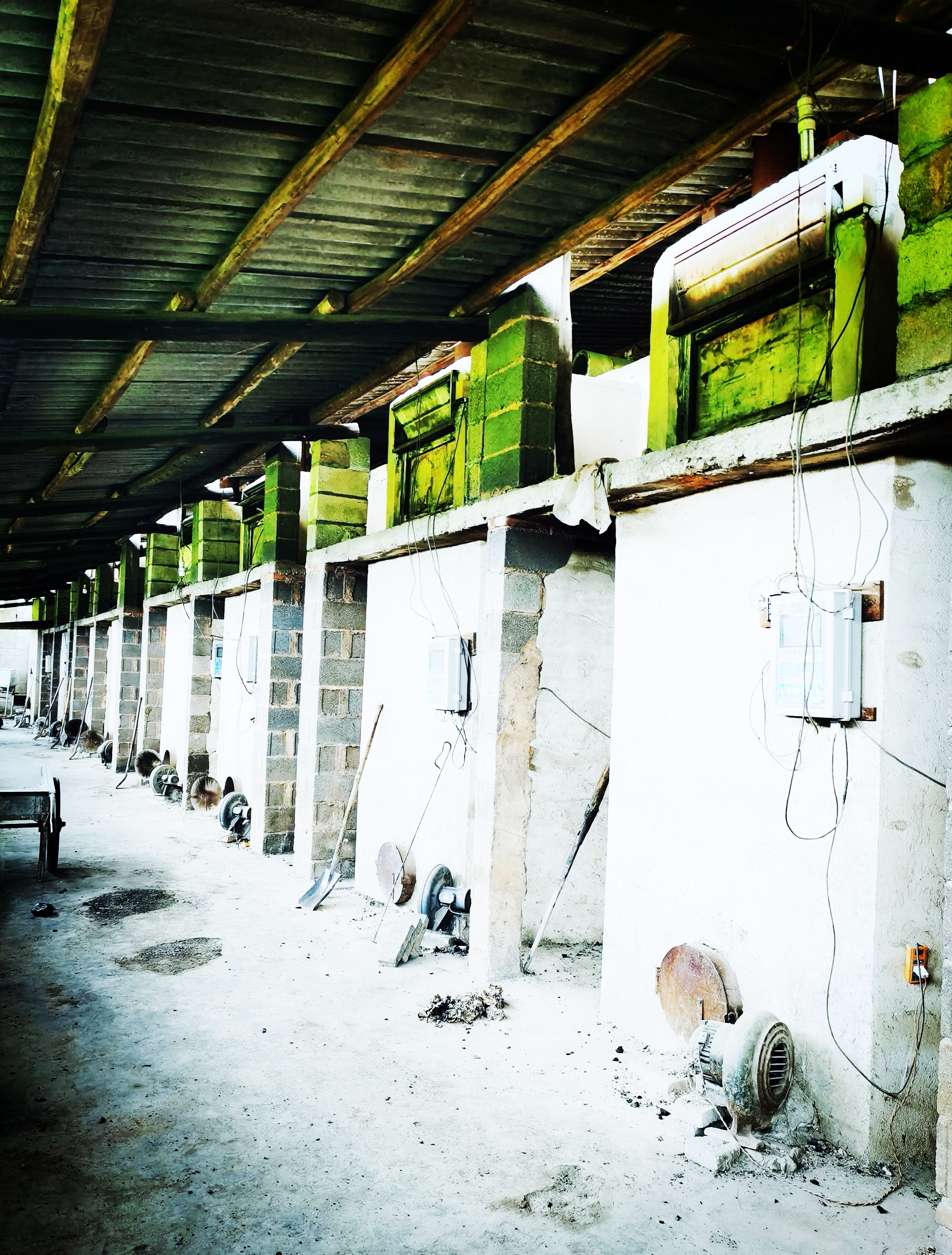 杨光辉：让梦想熠熠生辉