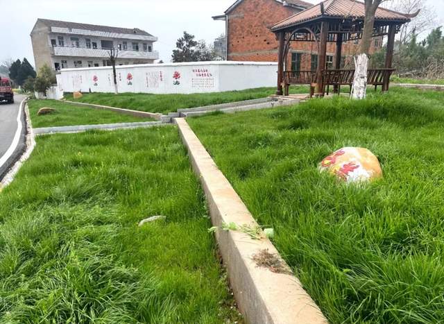 湖北武穴：马垅村开启“美颜”新时代