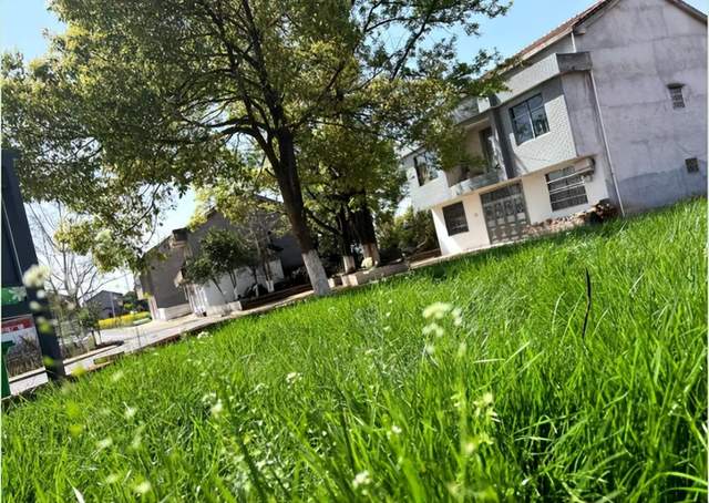 湖北武穴：马垅村开启“美颜”新时代