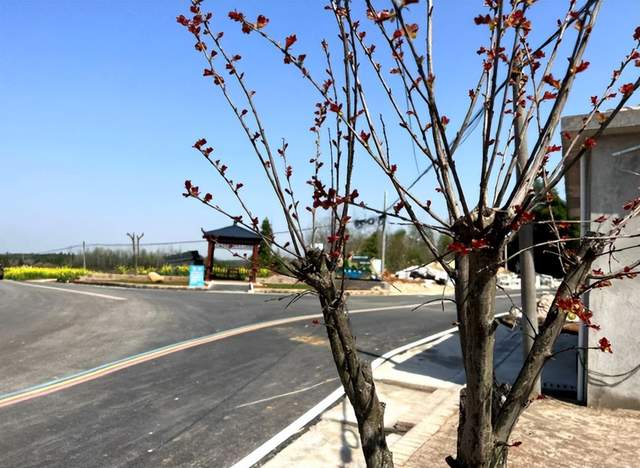 湖北武穴：马垅村开启“美颜”新时代