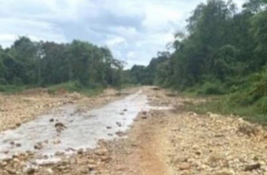 刘大清：加快中缅印公路升级改造建设