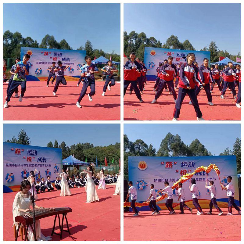 学校园艺术节：绚烂你的青春，展示你的才艺