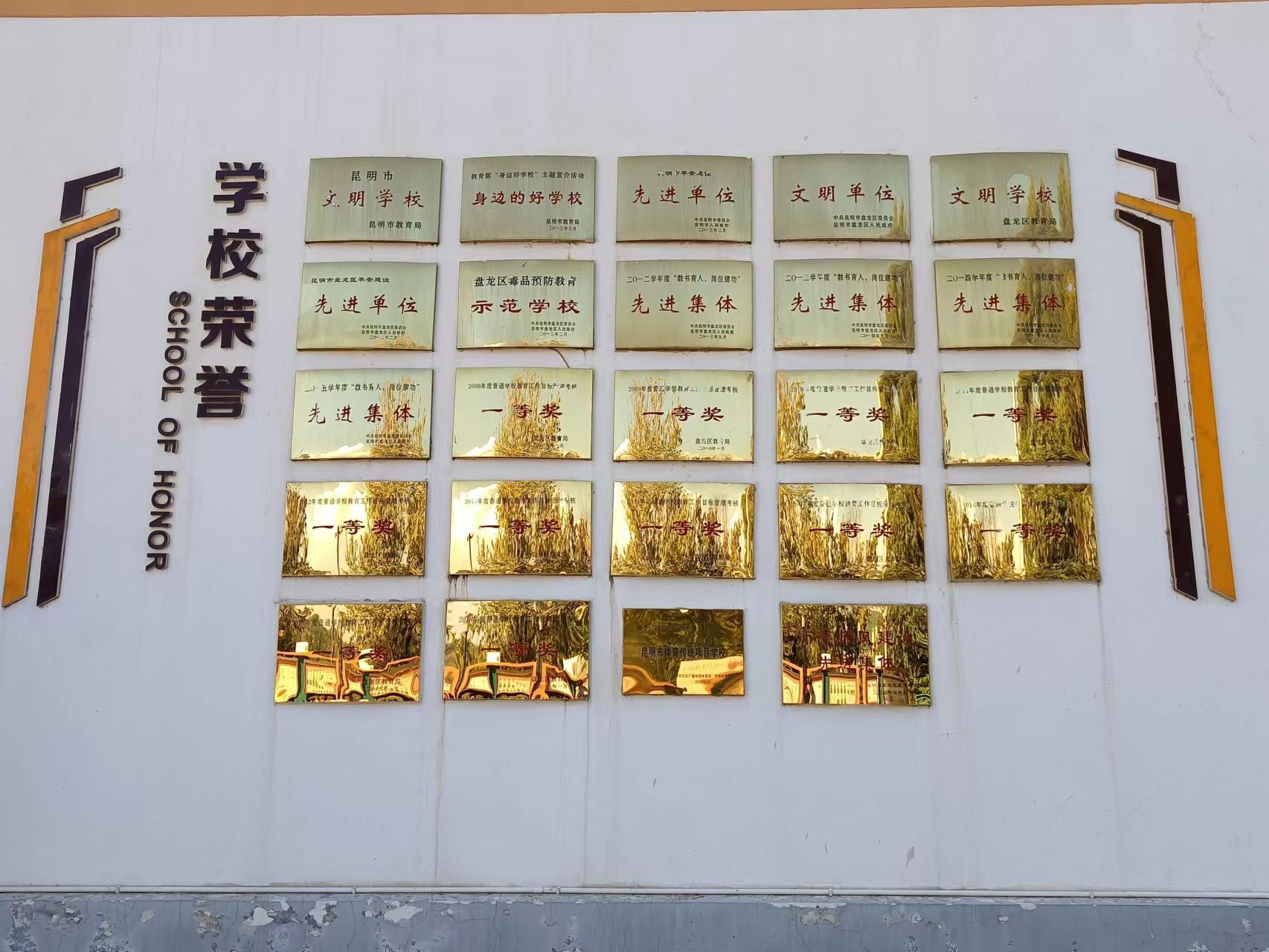 学校园艺术节：绚烂你的青春，展示你的才艺