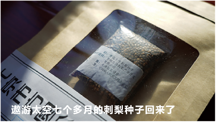 刺梨工坊：守望田园经济 筑梦乡村振兴