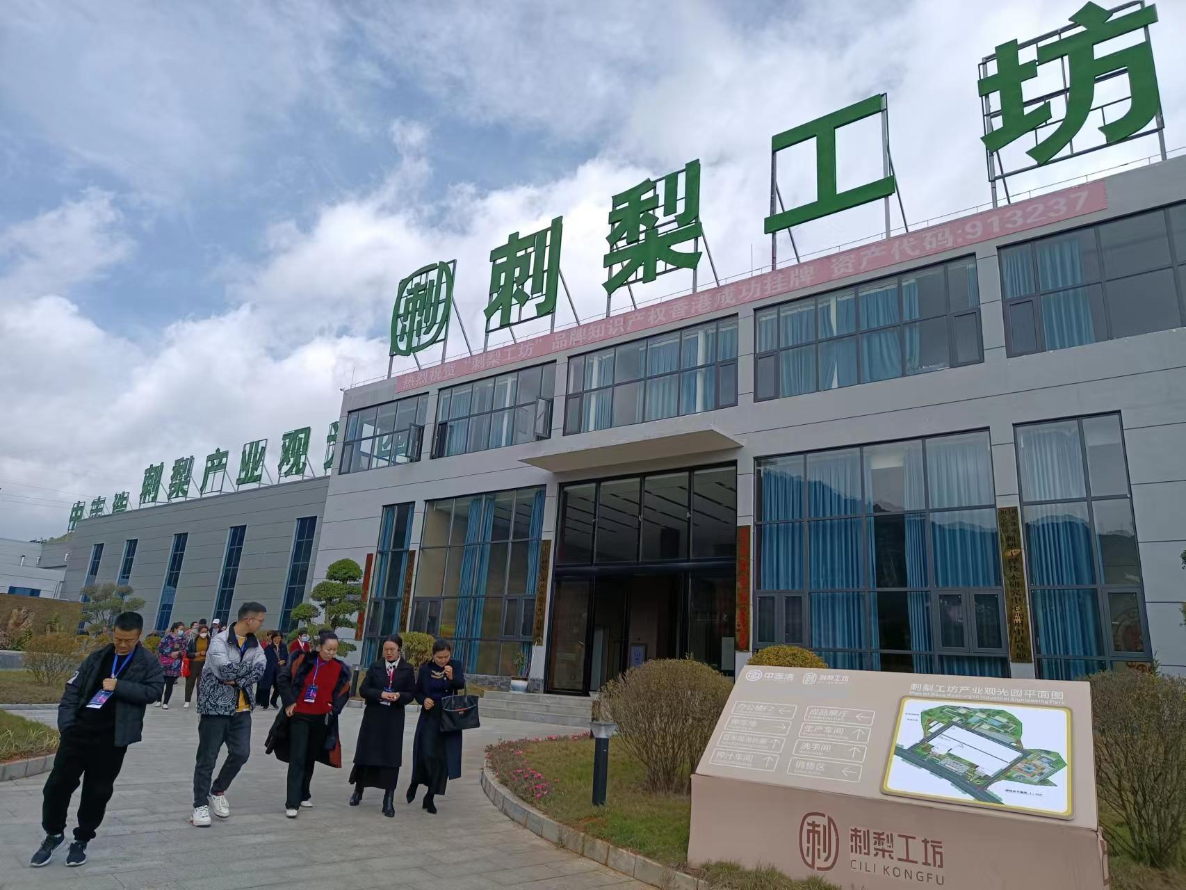 刺梨工坊：守望田园经济 筑梦乡村振兴