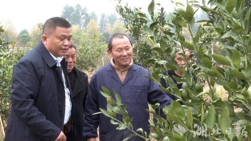 武穴梅川镇司古塔村：创新“五共”理念 共建幸福家园