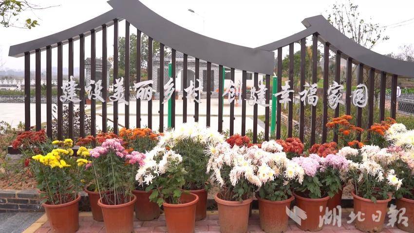 武穴梅川镇司古塔村：创新“五共”理念 共建幸福家园