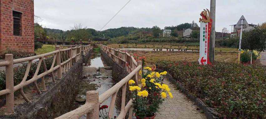 赵俊村：共同缔造齐发力，和美乡村入梦来.docx