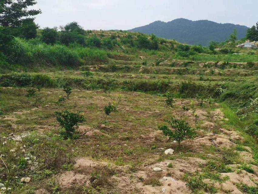 赵俊村：共同缔造齐发力，和美乡村入梦来.docx