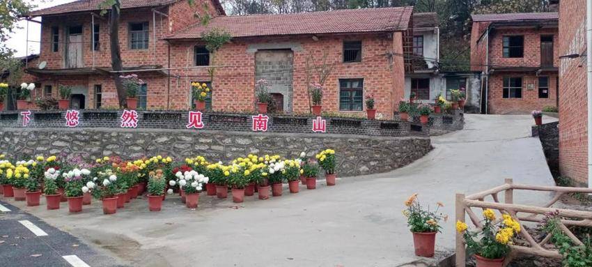 赵俊村：共同缔造齐发力，和美乡村入梦来.docx