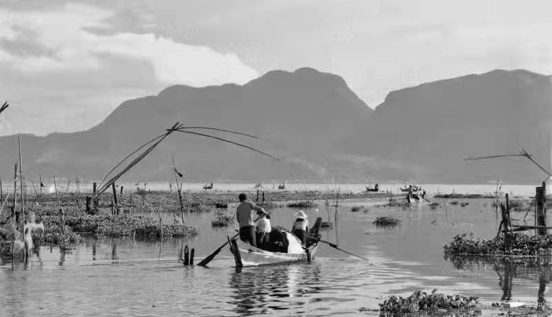 王刚：让官渡成为云南唯一的“四连冠”全国画乡（上）