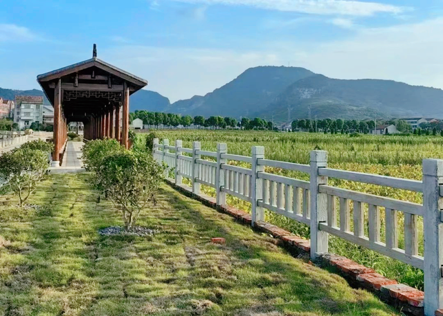记得住乡愁 留得住乡情——武穴市大法寺镇东畈村倾心打造和美乡村纪实