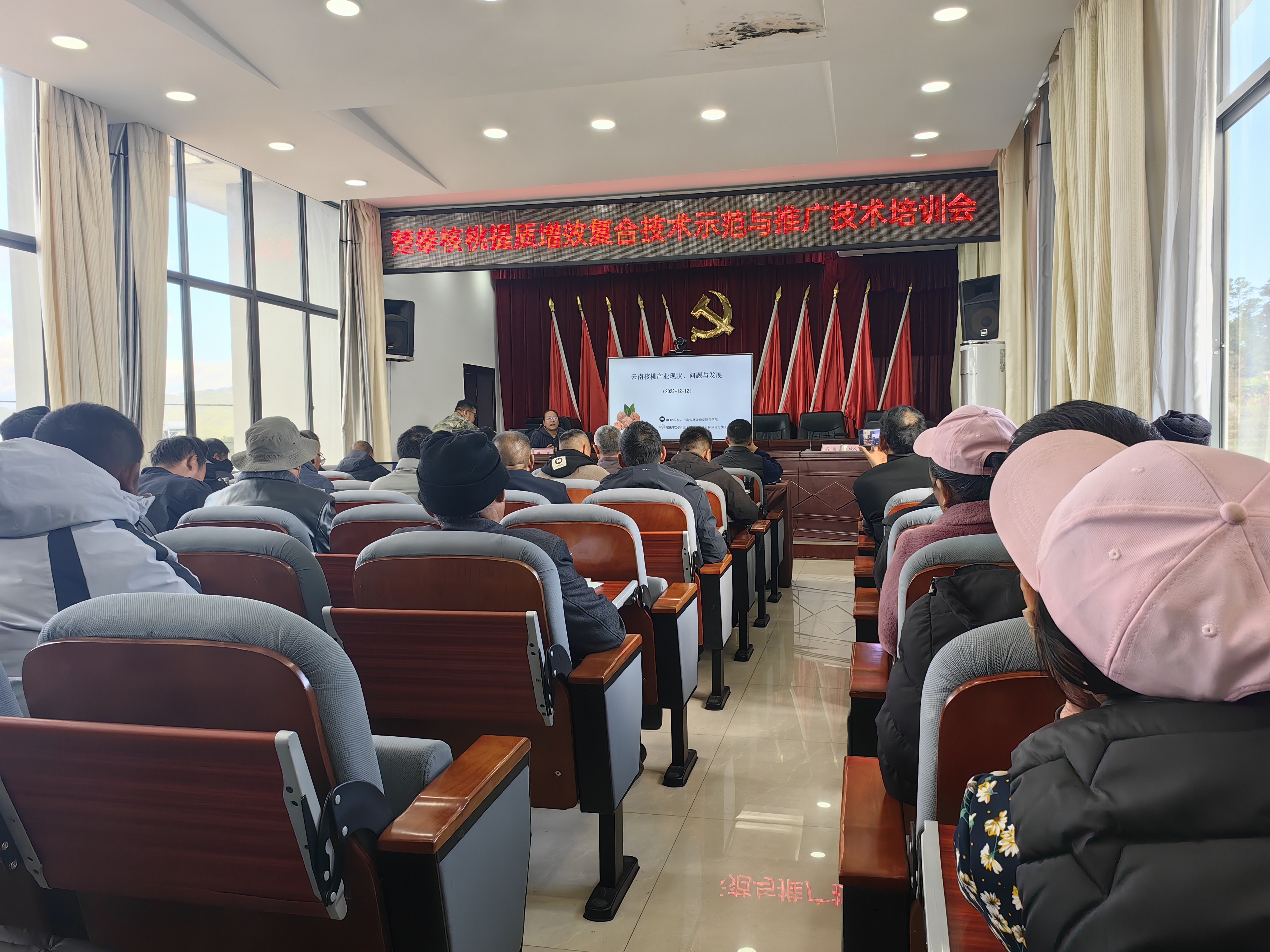 楚雄市新村镇开展核桃提质增效复合技术示范与培训