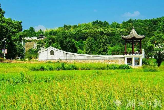 湖北武穴：朱佩兵，横岗山脚下“驻村”的感人故事！