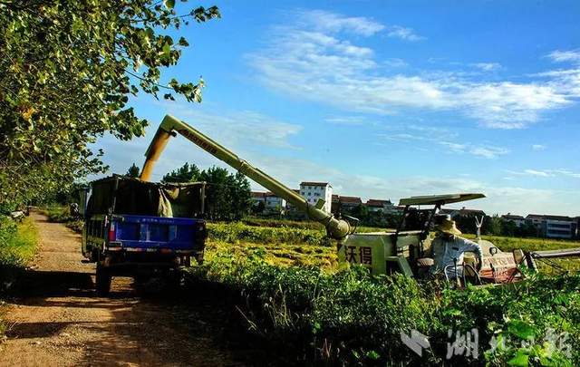 湖北武穴：朱佩兵，横岗山脚下“驻村”的感人故事！