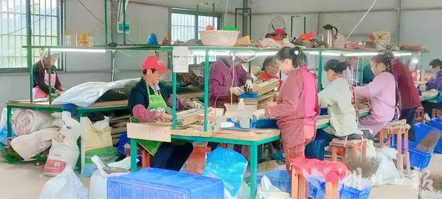 湖北武穴：朱佩兵，横岗山脚下“驻村”的感人故事！