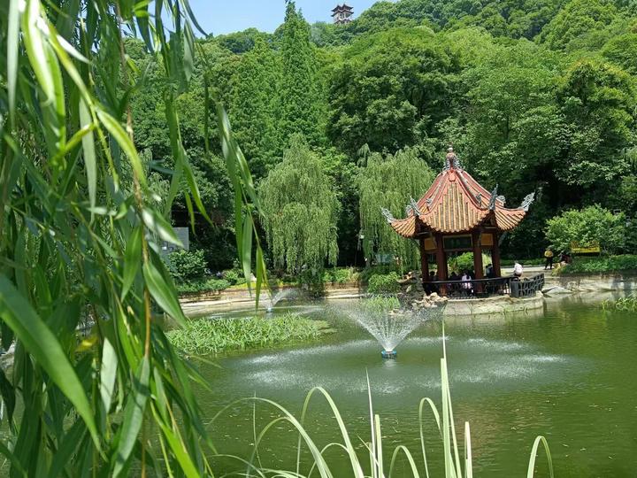 【共和国不会忘记】胡介良：“共和国的丰碑上，应该有他们的名字”（上）