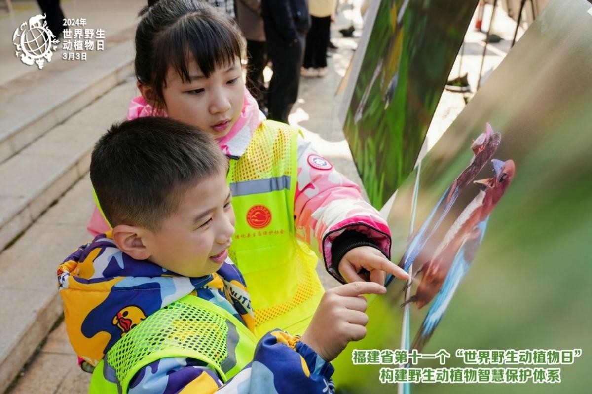 德化县生态保护协会参加第11个世界野生动植物日宣传活动