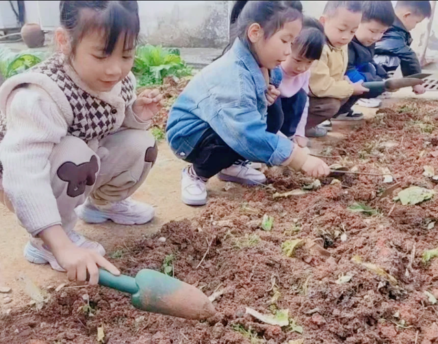 【今日黄冈】豆来豆“趣” 豆出精彩——武穴市实验幼儿园石佛寺园区开展种植活动！