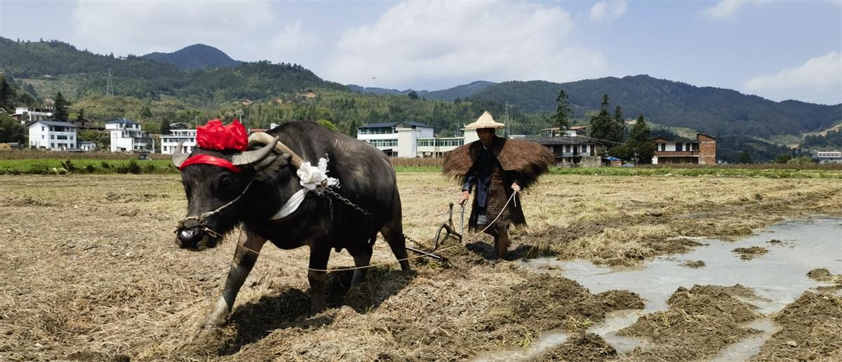 “20℃梦里田园”首届德化上涌春耕文化艺术节举行