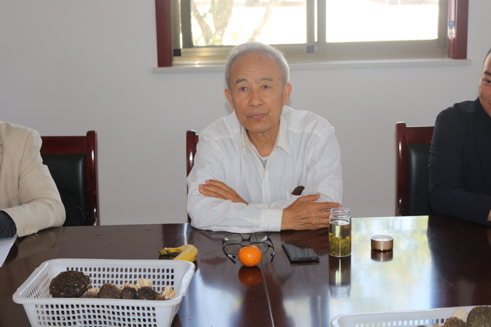 合肥紫蓬镇新徽菇2024羊肚菌高质高产发布 