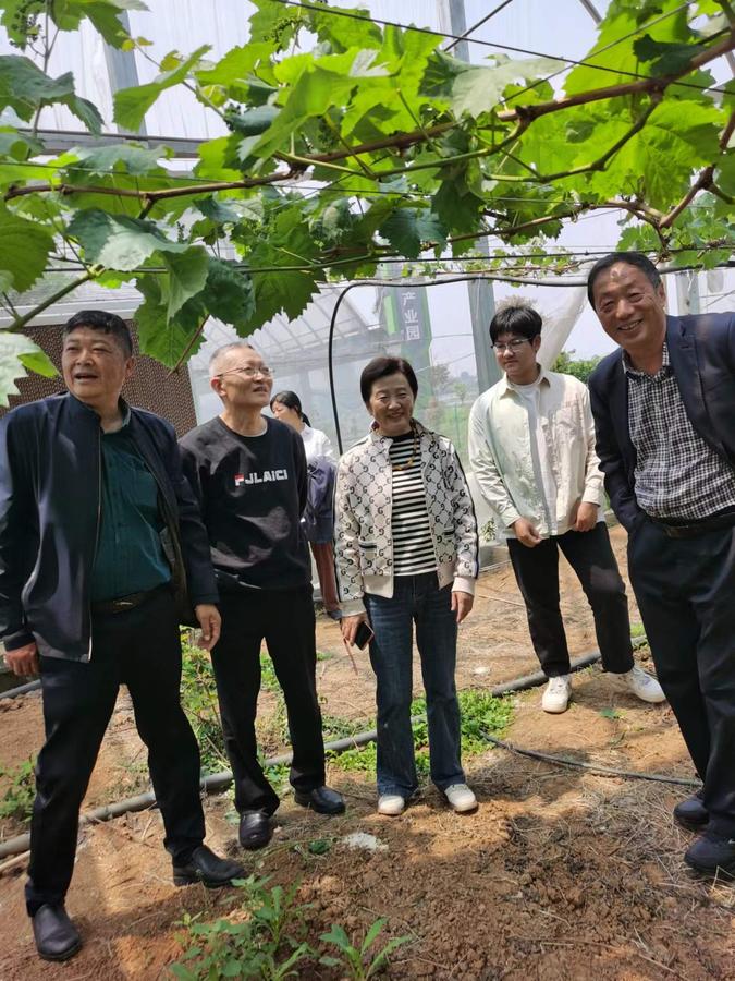 宜商总会秘书长张翼访问新徽菇 推动乡村振兴合作 