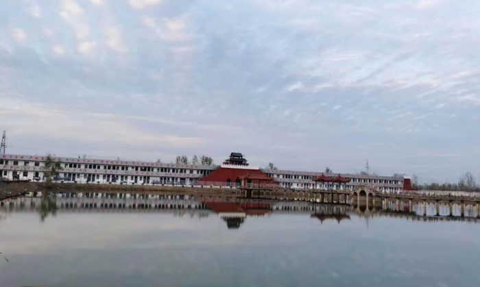 王全一的人生传奇：从亳州到世界舞台 