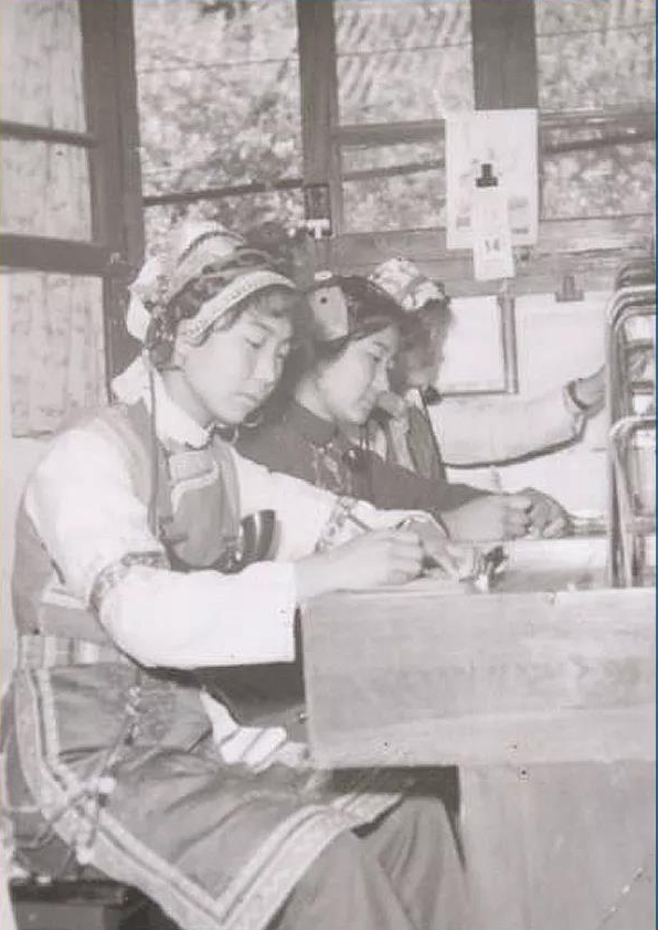 和昆花：以菌为旗，带领峡谷群众走好乡村振兴路（上）