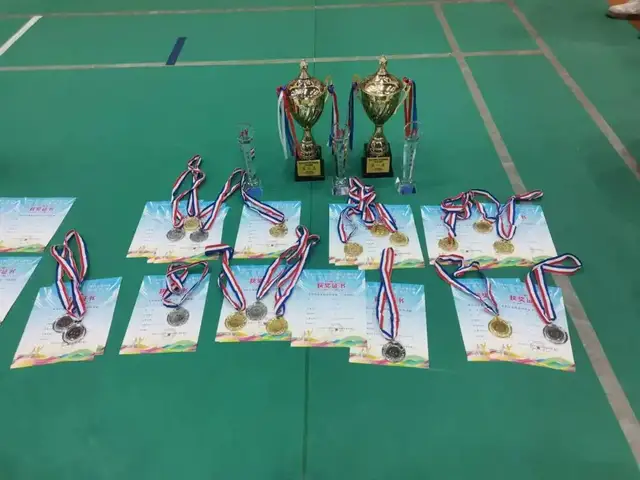 【特别报道】喜讯！武穴市育才高中荣获黄冈市2024首届毽球比赛冠军