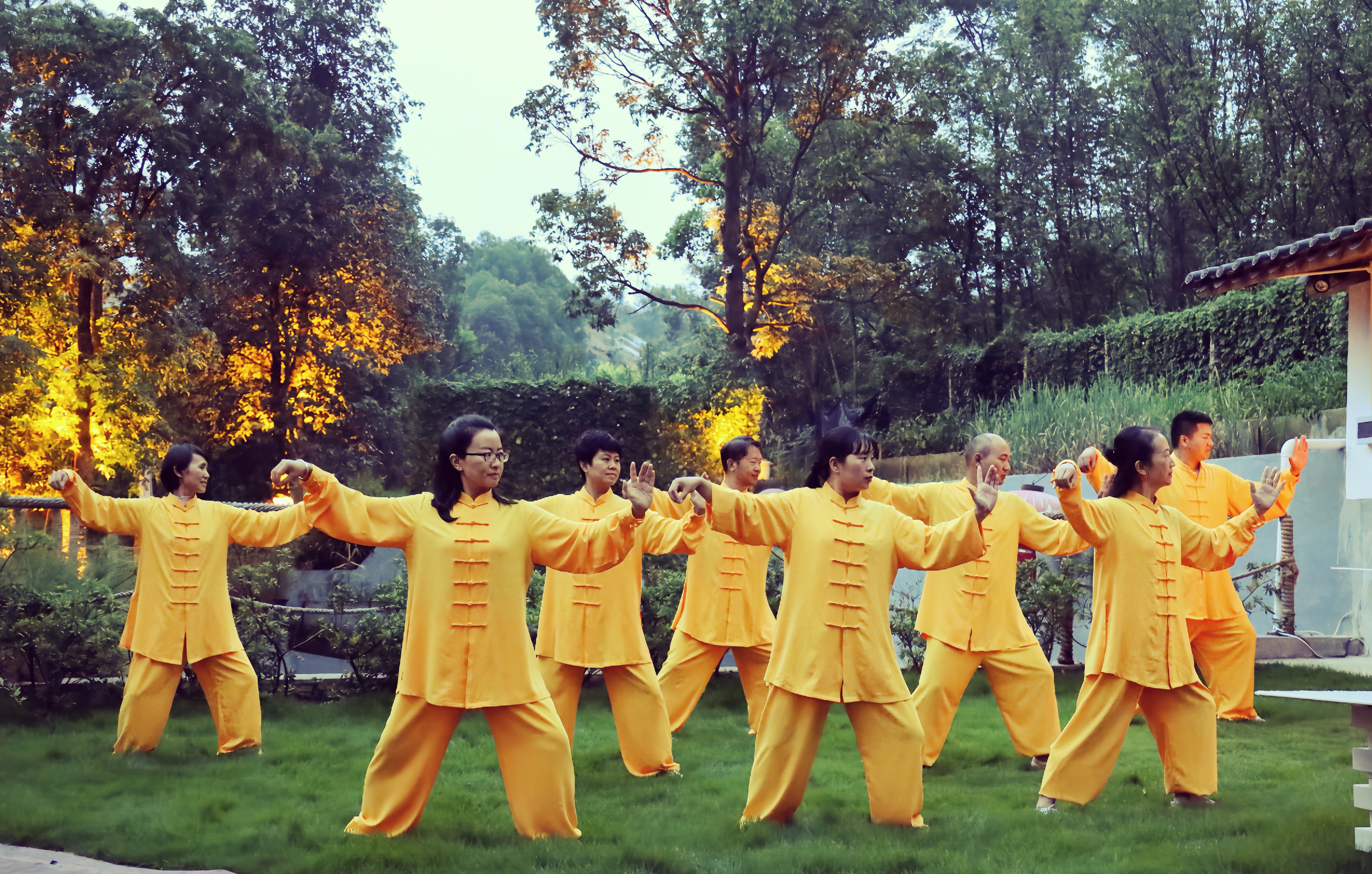 动静之间：飞熊农业太极研学之旅，引领健康生活新风尚